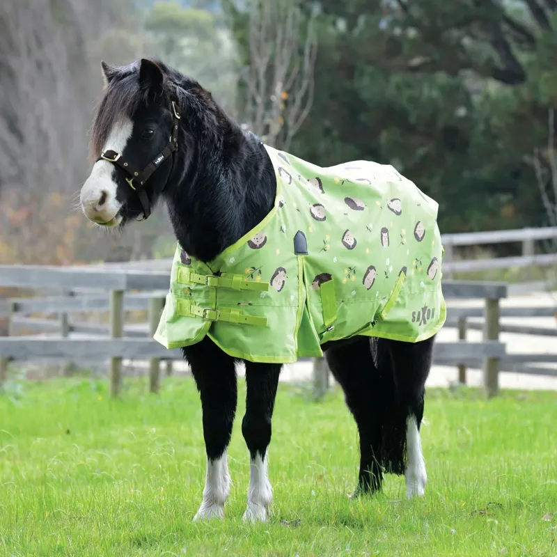 Saxon 600D Pony Standard Neck 0g Turnout Rug - Hedgehogs/Flowers Print