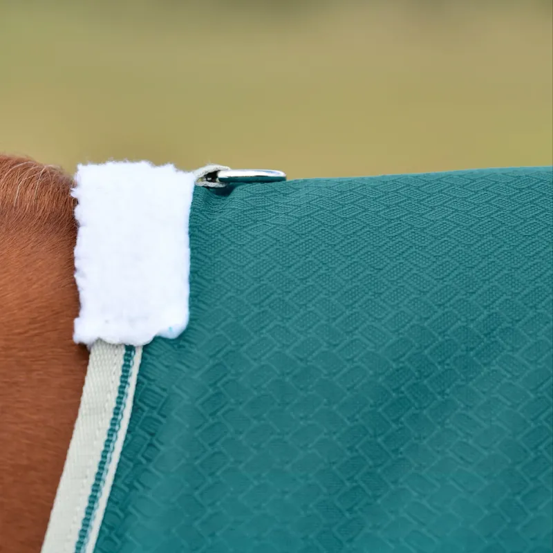 WeatherBeeta ComFiTec Plus Dynamic II 0g Standard Turnout Rug - Teal Green-2