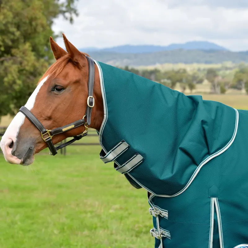 WeatherBeeta ComFiTec Plus Dynamic II 0g Detach-A-Neck Turnout Rug - Teal Green-1