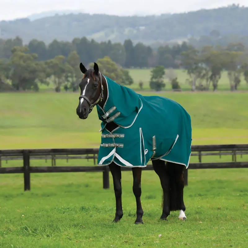 WeatherBeeta ComFiTec Plus Dynamic II 0g Detach-A-Neck Turnout Rug - Teal Green