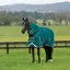 WeatherBeeta ComFiTec Plus Dynamic II 0g Detach-A-Neck Turnout Rug - Teal Green