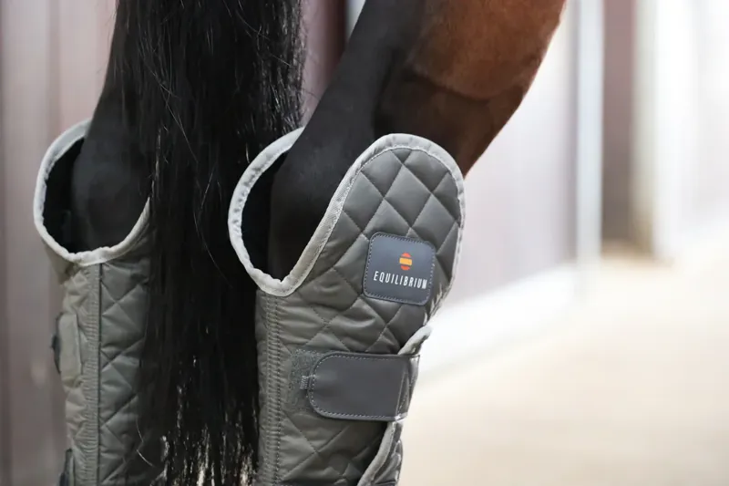 Equilibrium Hind and Hock Magnetic Chaps - Grey-4