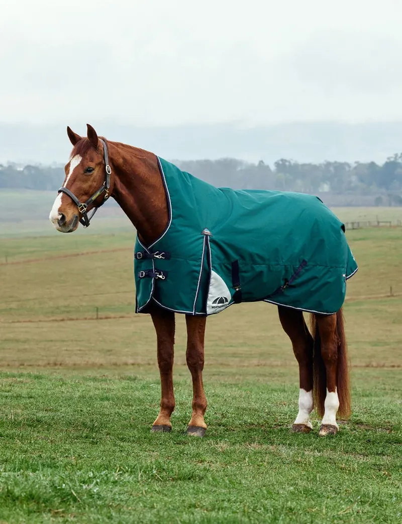 WeatherBeeta ComFiTec Plus Dynamic 220G Turnout High Neck Rug- Forest Green