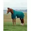 WeatherBeeta ComFiTec Plus Dynamic 220G Turnout High Neck Rug- Forest Green