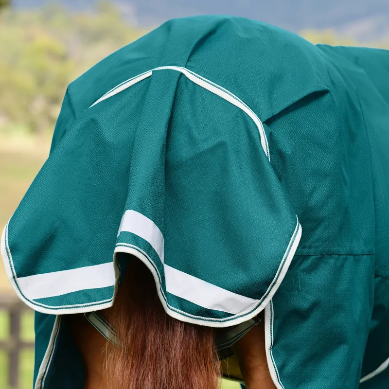 WeatherBeeta ComFiTec Plus Dynamic II 0g Standard Turnout Rug - Teal Green-4
