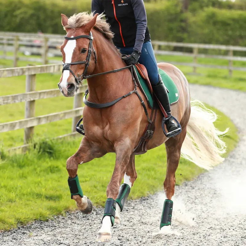 Equilibrium Tri-Zone Impact Sports Hind Boots - Hunter Green-2