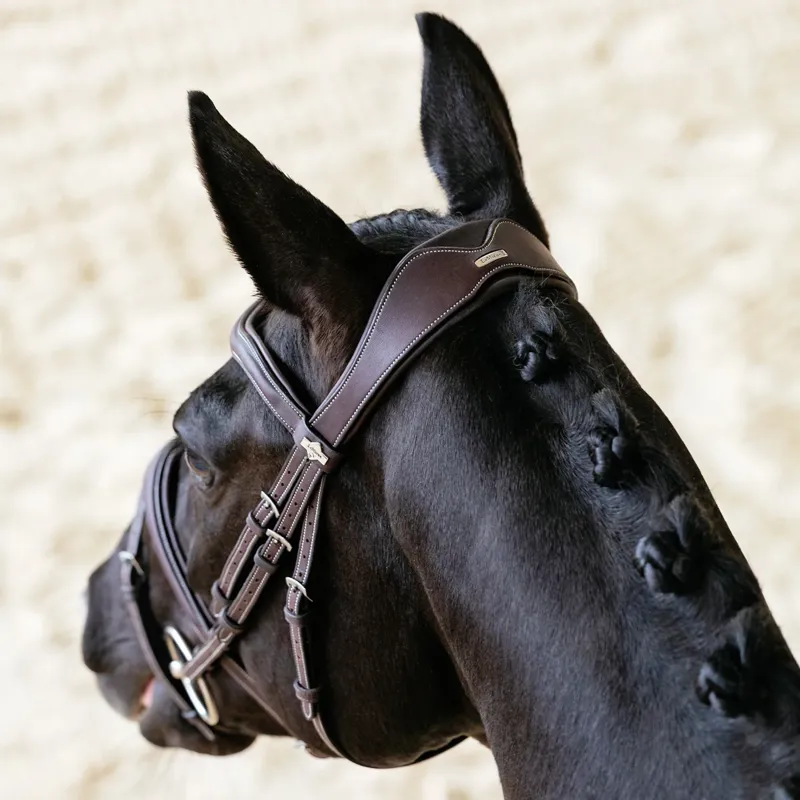 LeMieux Kudos Contour Flash Bridle  - Brown-1