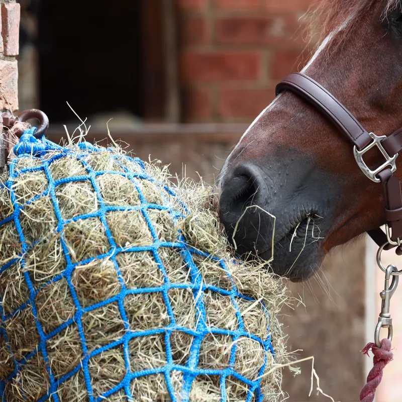 Equilibrium PortionPacer Steady Feeder Haynet - Blue-5