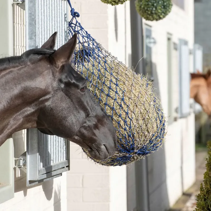 Lemieux Hippo Haynet - Navy -1