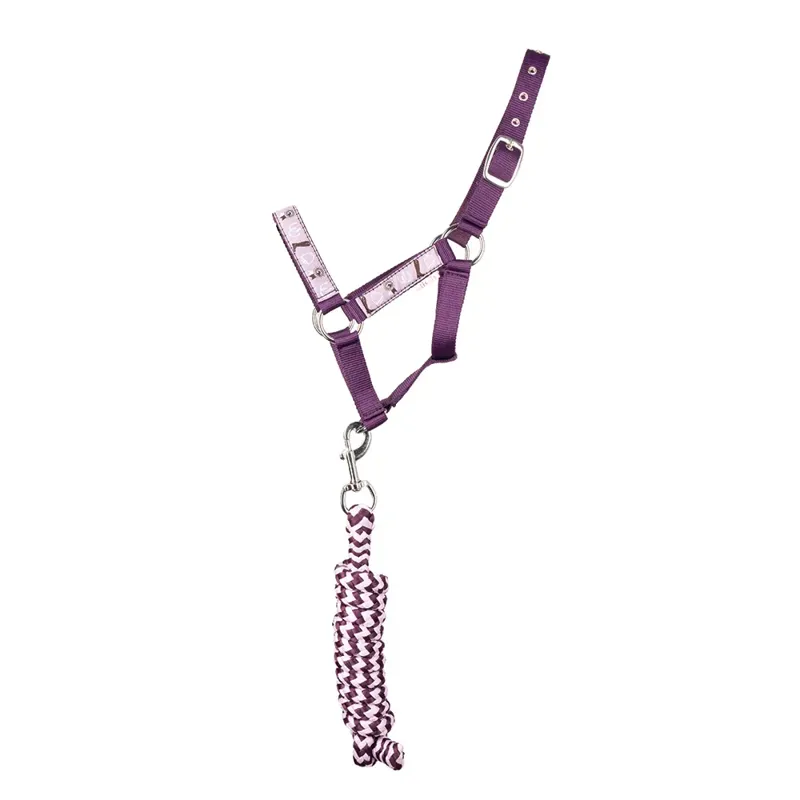 Little Rider Giddy Up Gymkhana Head Collar and Lead Rope Set - Purple/Lilac