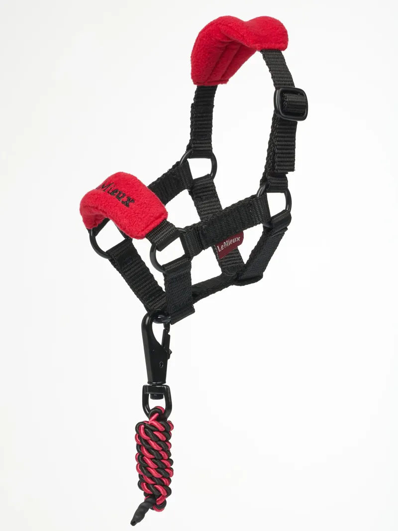 LeMieux Toy Pony Vogue Headcollar - Chilli