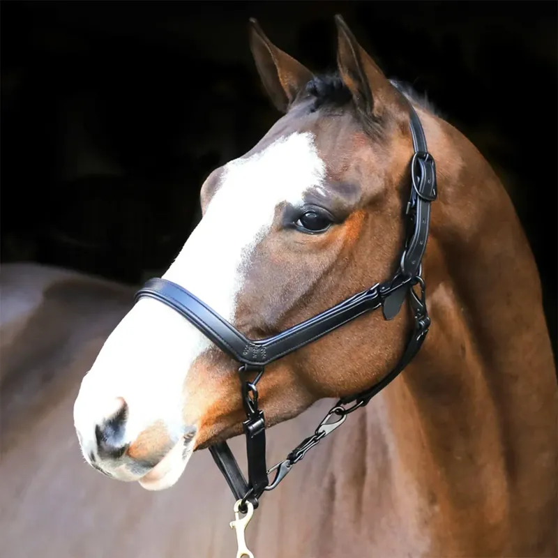 Liveryman Clipping Headcollar - Black