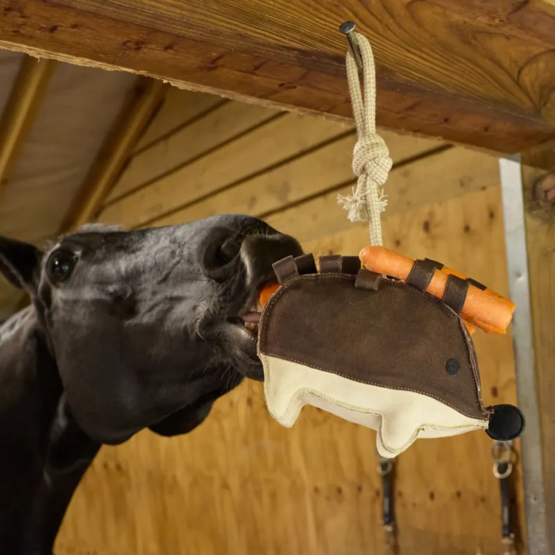 LeMieux Horse Toy - Hedgehog-1