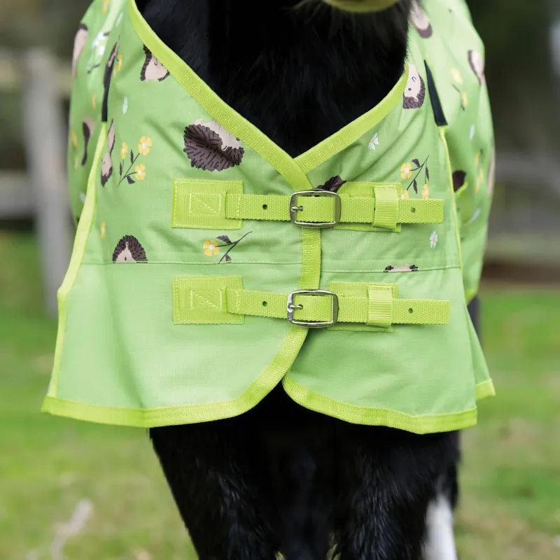 Saxon 600D Pony Standard Neck 0g Turnout Rug - Hedgehogs/Flowers Print-1