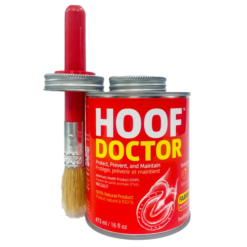 Equine One Hoof Doctor