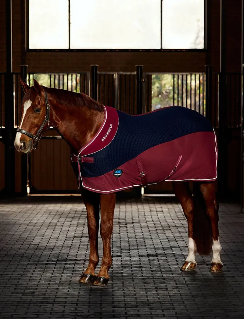 WeatherBeeta Thermo-Air Cooler Rug Standard Neck - Navy/Burgundy