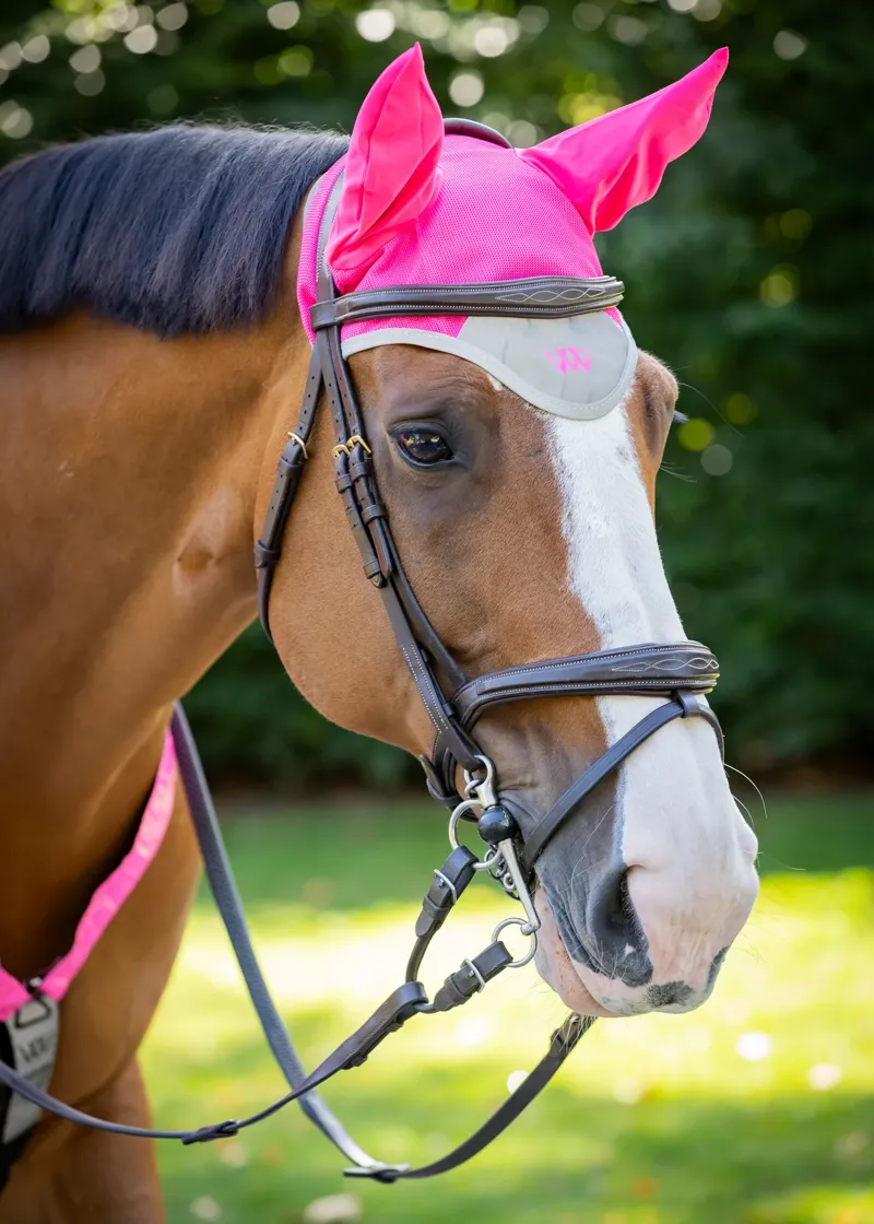 Woof Wear Fly Veil - Hi Vis Pink-1
