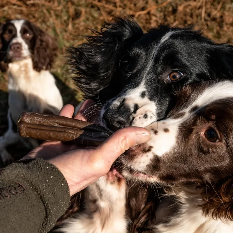 The Innocent Hound Sausage Dental Support Dog Treats - Aniseed/Citrus Extract-2