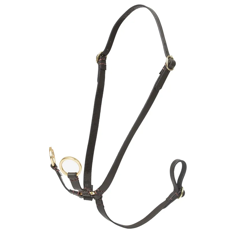 LeMieux Hobby Horse Running Martingale - Brown 
