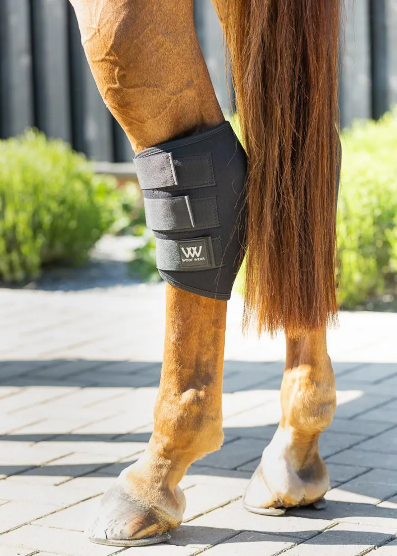 Woof Wear Hock Boot - Black-1