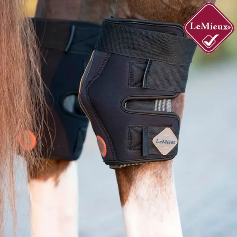 LeMieux Conductive Magno Hock Boots - Black-1