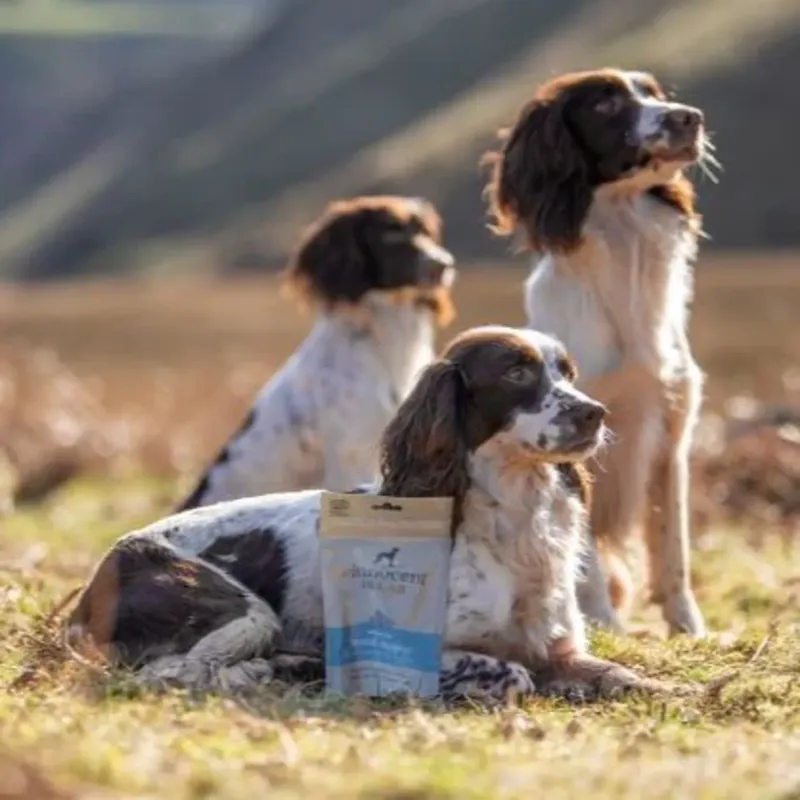 The Innocent Hound Sausage Dental Support Dog Treats - Aniseed/Citrus Extract-4