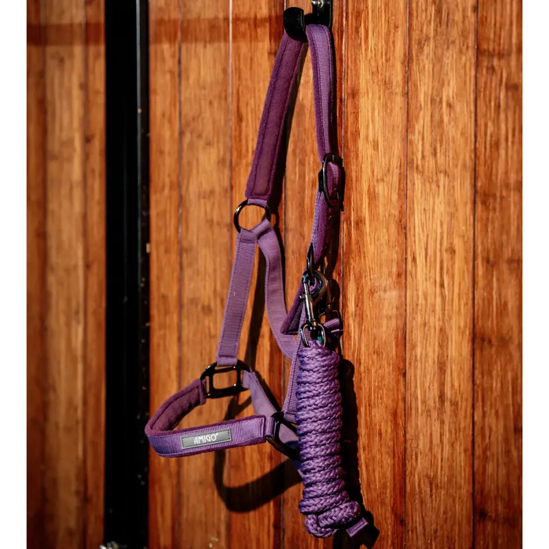 Horseware Amigo Headcollar and Leadrope Set - Winterberry-4