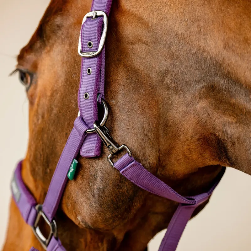 Horseware Amigo Headcollar and Leadrope Set - Winterberry-3