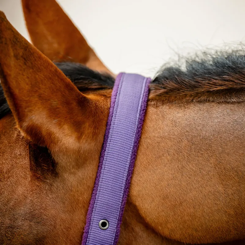 Horseware Amigo Headcollar and Leadrope Set - Winterberry-2