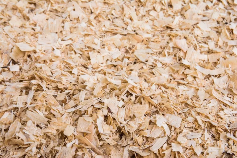 Bedmax Shavings - 18kg-4
