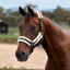 Dublin Soft Fit Headcollar - Grey