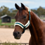 Dublin Soft Fit Headcollar - Green