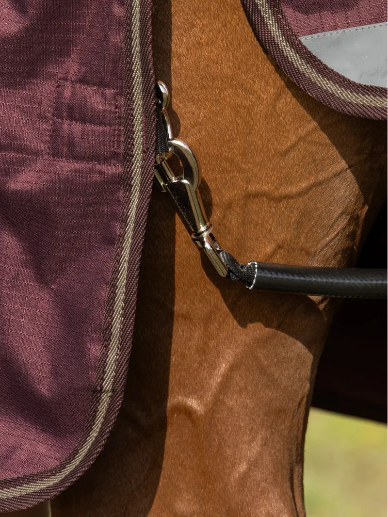 LeMieux Arika Ripstop 200g Turnout Rug - Bramble-5