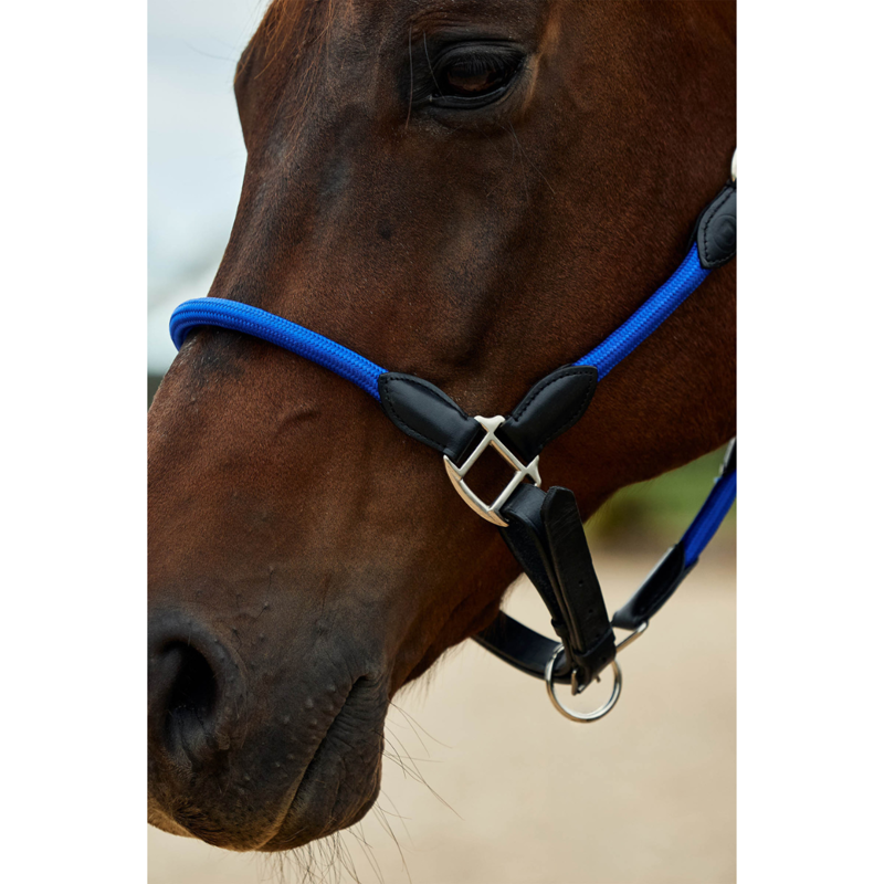Dublin Leather Rope Headcollar - Cobalt/Black-3