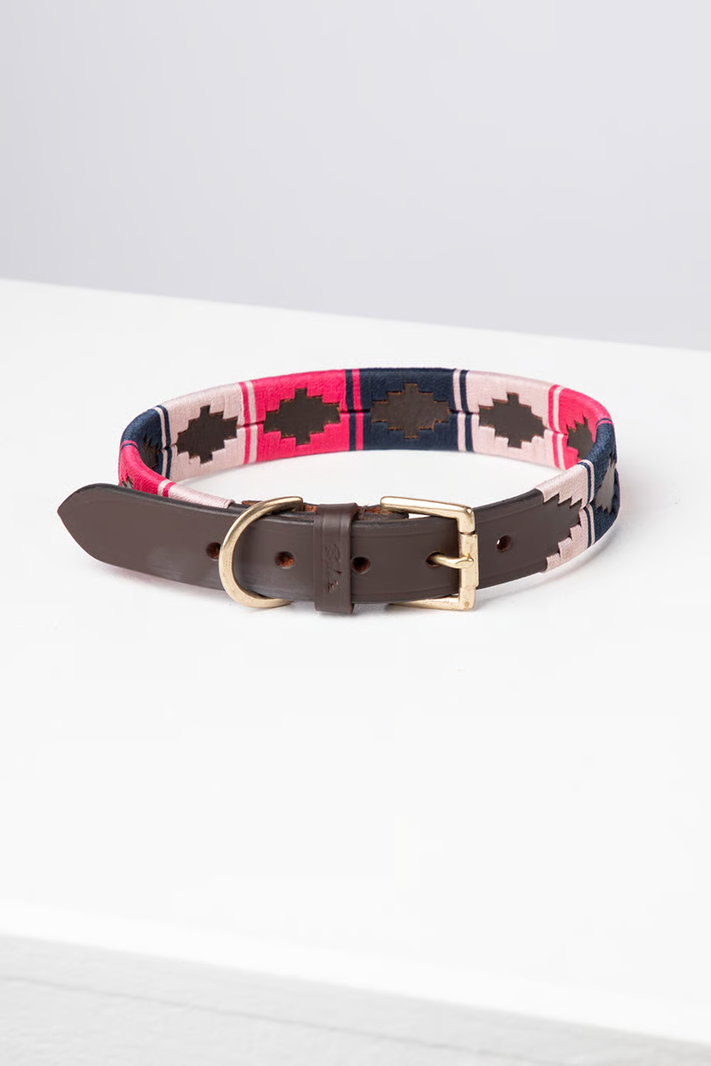 Rydale Polo Belt Dog Collar - Bonbon/Navy/Sorbet