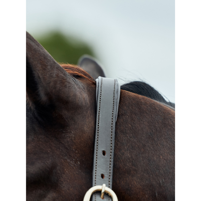 Dublin Leather Rope Headcollar - Navy/Brown-3
