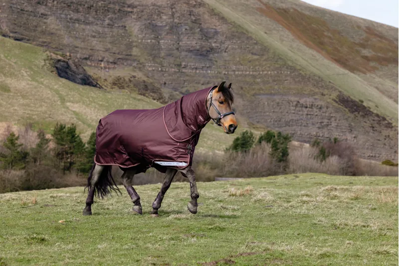 LeMieux Arika Ripstop 200g Turnout Rug - Bramble-1