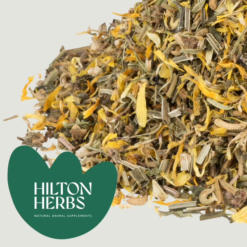 Hilton Herbs Cleaver and Marigold Lymphatic and Glandular Supplement - 750g-2