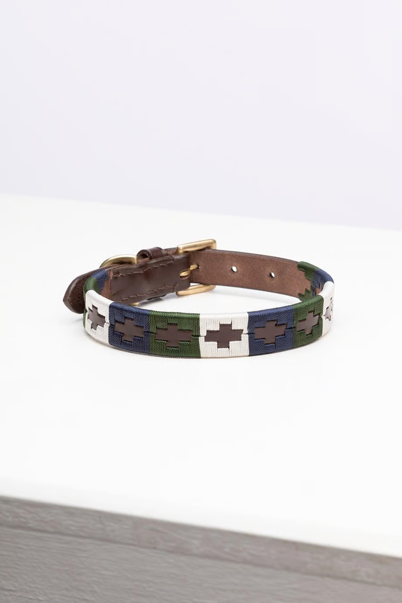 Rydale Polo Belt Dog Collar - Khaki/Navy/Gold-1