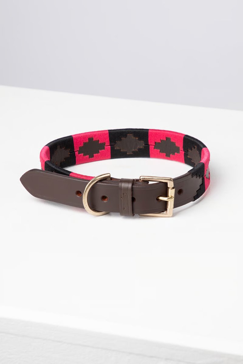 Rydale Polo Belt Dog Collar - Brown/Black/Bonbon