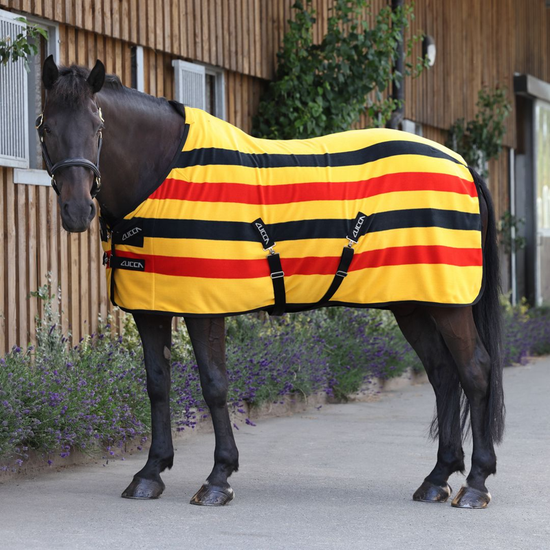 LUCCA Newmarket Fleece Rug - Newmarket Stripe