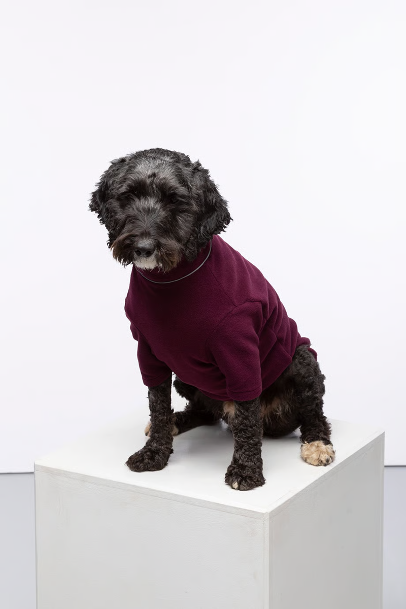 Rydale Yapham Fleece Dog Jumper - Burgundy