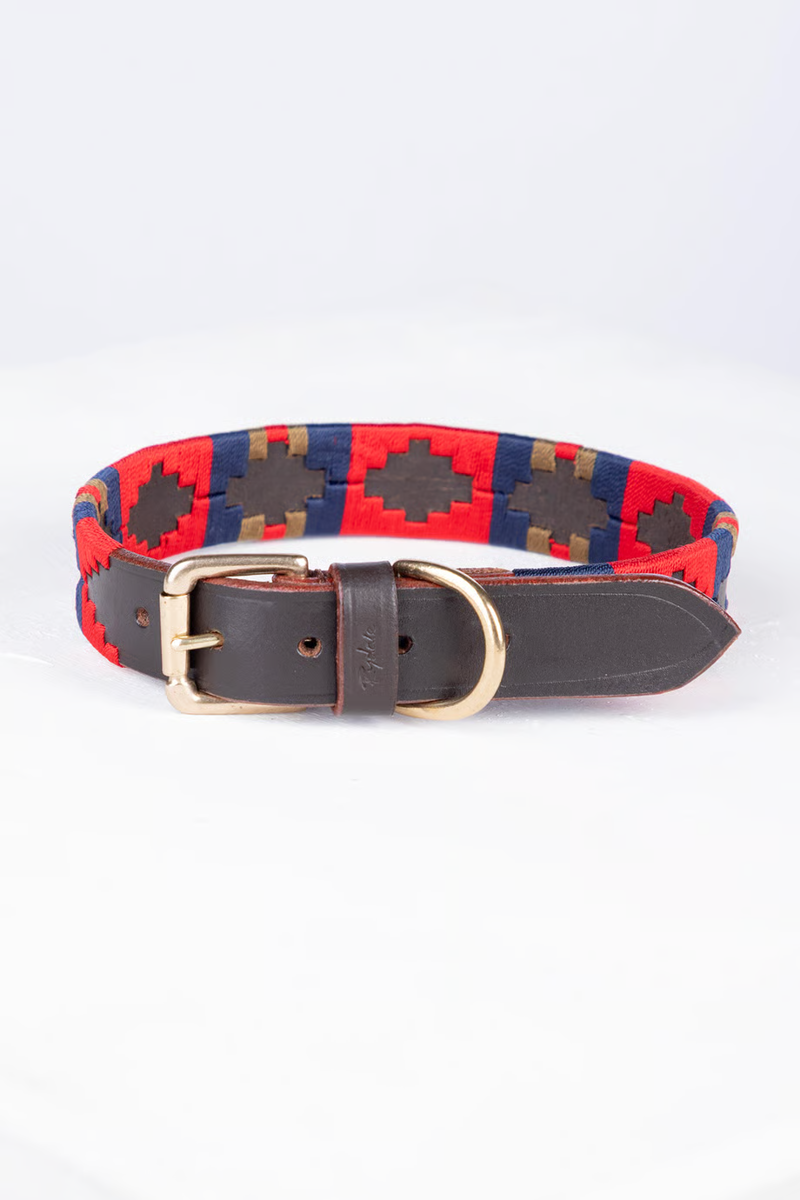 Rydale Polo Belt Dog Collar - Navy/Red/Gold/Red