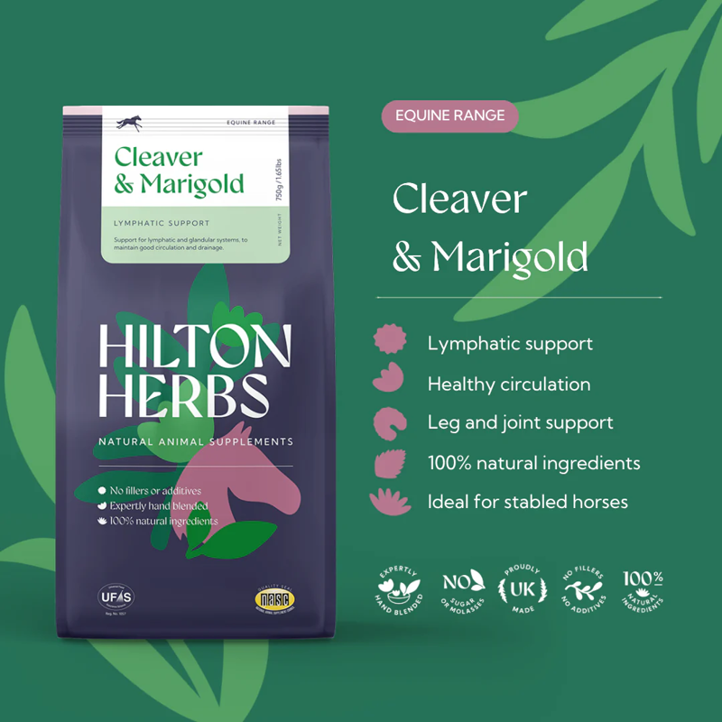 Hilton Herbs Cleaver and Marigold Lymphatic and Glandular Supplement - 750g-1