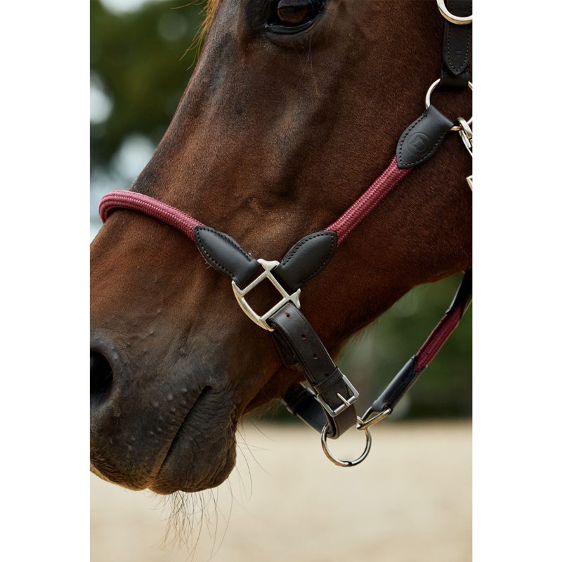 Dublin Leather Rope Headcollar - Burgundy/Brown-3