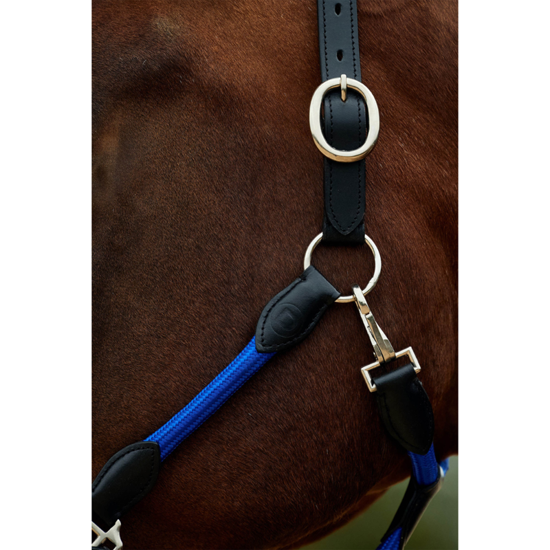 Dublin Leather Rope Headcollar - Cobalt/Black-4