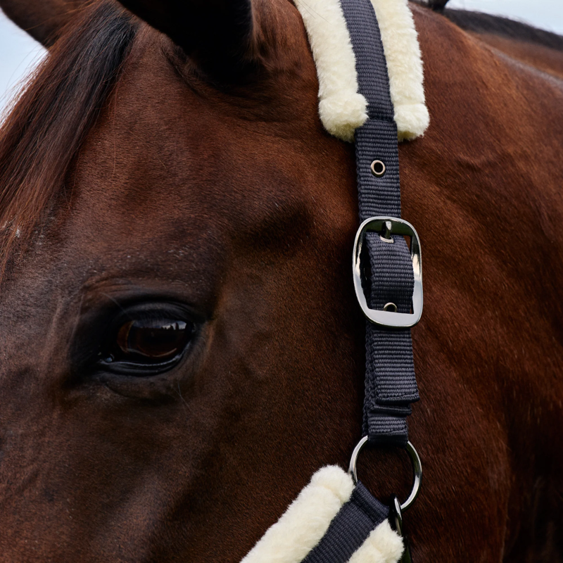 Dublin Soft Fit Headcollar - Navy-1