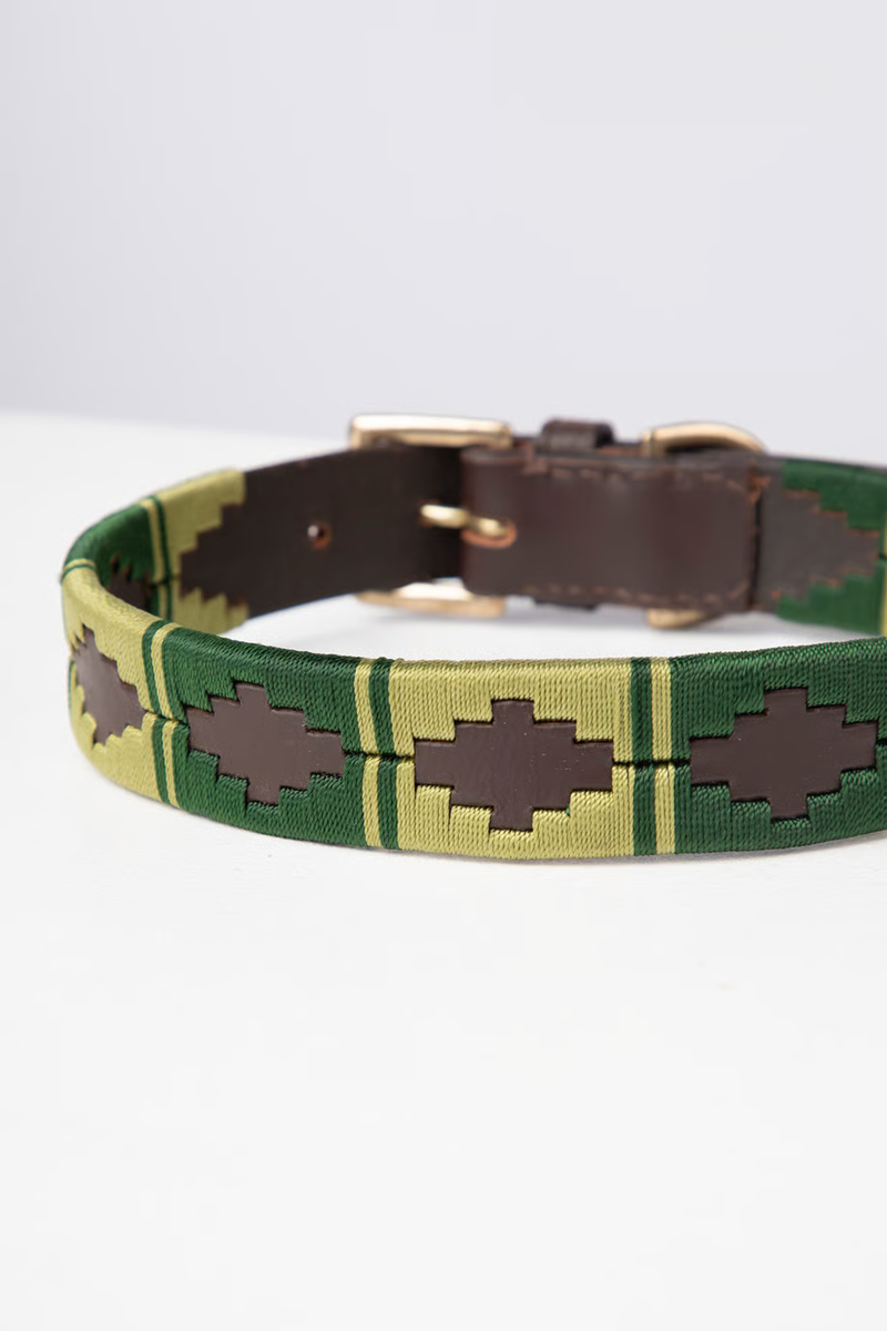 Rydale Polo Belt Dog Collar - Brown/Green/Olive-2