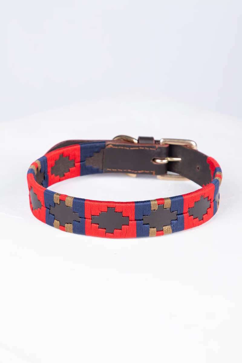 Rydale Polo Belt Dog Collar - Navy/Red/Gold/Red-1