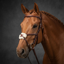 Cameo ComfortPro Grackle Bridle with Rubber Grip Reins - Chestnut